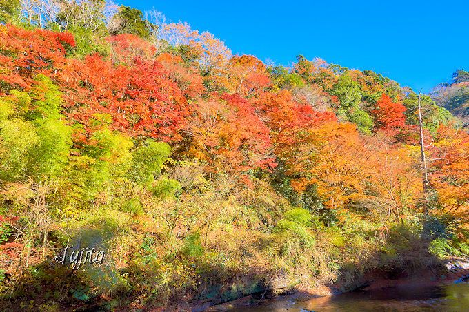 日本一遅い紅葉！千葉・養老渓谷で、絶対見たい「養老の滝」と「懸崖境」