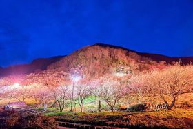 3����{�������I���͌��~�сu�~�܂�v�̐�i���C�g�A�b�v�̋L���T���l�C��