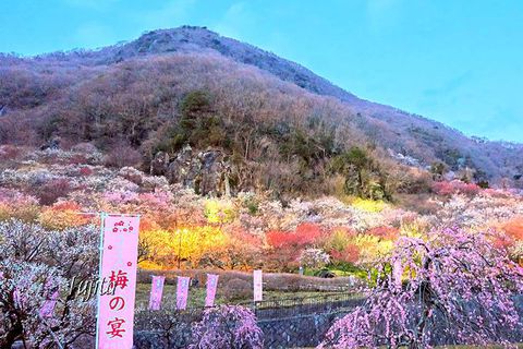 3���ɍs�������������s�您������10�I�y2026�z�̋L���T���l�C��