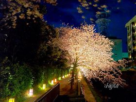 ������C�g�A�b�v�Ɓu���낤�v���R���{�I�ɓ�����u���쓔��̏��a�v�̋L���T���l�C��