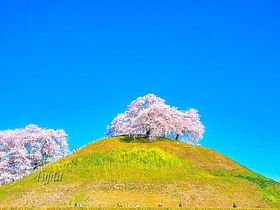 ܂ō̔piIʌscsE܌Õ̃A[gȉԌ̋LTlC