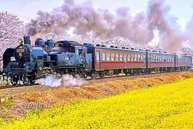 �t�͂���ɏ��Ȃ���I�����y���߂�S���H���ƃX�|�b�g6�I�̋L���T���l�C��