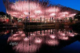 GW�ɍs�������I���q���ɂ������߂̗��s��10�I�y2025�z�̋L���T���l�C��