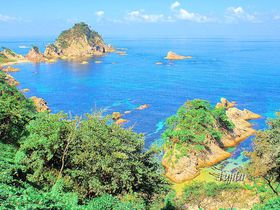 �R�A���s�̂������߃v�����́H��p��x�X�g�V�[�Y���A���������A�X�|�b�g���Ȃǂ�����I�̋L���T���l�C��