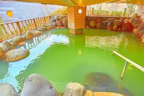 ؂ȃoCLOɑ喞IuzeEtVIߐ{v͗ΐF̉ō̋LTlC