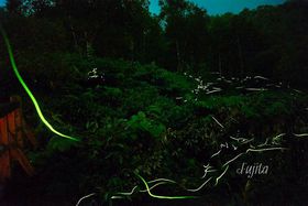 S̓{z^̗IuꍂE΂̓bW̃QW{^I̋LTlC