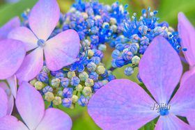 �m��ꂴ�鎇�z�Ԃ̖����I�Q�n���a��s�E����r�������������͕K���̋L���T���l�C��