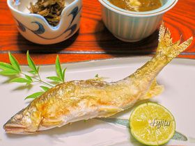 �P���Q�g����̗����h�I�����E�o�_��������u���T��فv�͋������ꂪ��p�ɂ̋L���T���l�C��