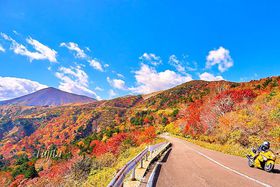 �֒��ȃX�J�C���C���̍g�t�������I�����E�V��̒�ōg�t���̋L���T���l�C��