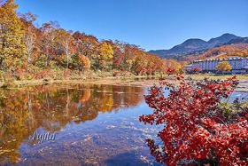 uꍂ̍gt͘@riIEir߂̋LTlC