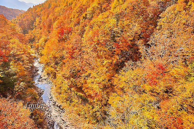 中津川渓谷の紅葉は必見！福島・磐梯吾妻レークラインで紅葉狩り