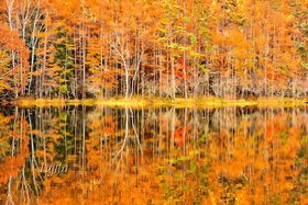 10̏qɂ߁IH̗s10Iy2025z̋LTlC