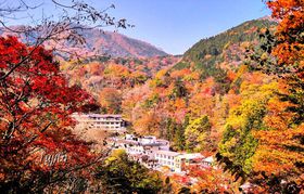 ��ʂ̍g�t�ɕ�܂��Ȗ؂̔铒�I������������u��o�فv�I�V���C�����i�̍g�t���̋L���T���l�C��