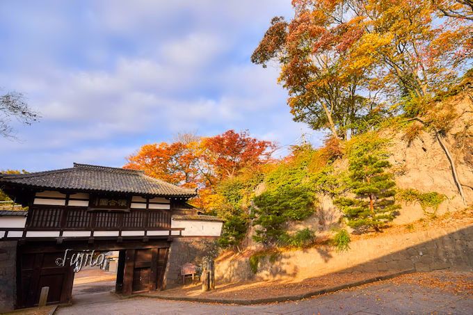 ５色の紅葉が石垣に映える 信州 小諸城址 懐古園 で絶景の紅葉狩り 長野県 Lineトラベルjp 旅行ガイド