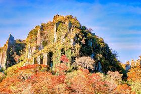 I[xWT؂̍gtIVCI啪EnkŐit`\̋LTlC