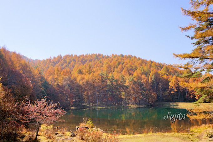 御射鹿池で紅葉狩り 蓼科 横谷渓谷の紅葉は曇天が見頃 長野県 Lineトラベルjp 旅行ガイド