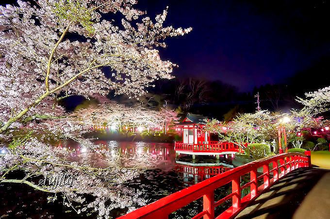 桜の絶景を郷土色豊かに楽しめる 千葉県の花見名所５選 千葉県 Lineトラベルjp 旅行ガイド