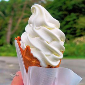 ����M�Œቷ�E�ۂ�����i�\�t�g�N���[���I�H�c�E�I��t�[�Y�H�꒼���X�͖������������݂̋L���T���l�C��