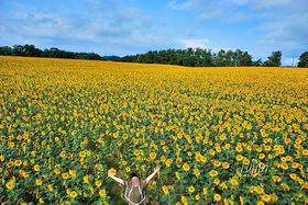 kCEkuЂ܂܂vI{200{̂Ђ܂̗̋LTlC