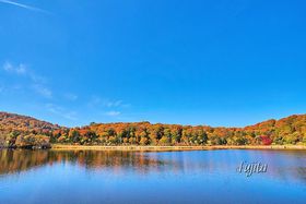 ������g�t�����̒��S�I�H�c�������̉���ōg�t���̋L���T���l�C��