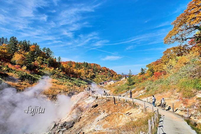 �㐶�|���R�����H�u�����n���v�̍g�t