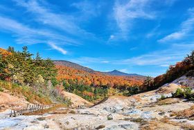 �H�c�������u�㐶�|����v�̍g�t�͎��R�����H���������߁I�̋L���T���l�C��