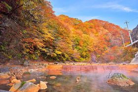 Kĉ͐삪̘IVCIQnu̓vōgt̋LTlC