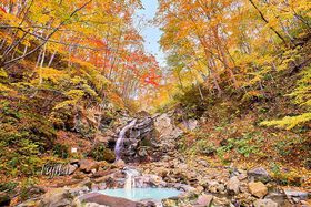 Ԓu受̓vH͍gtiIxɑԒ̋LTlC