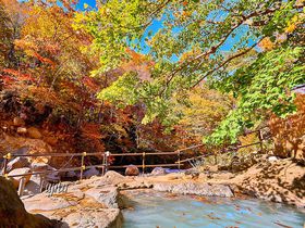 紅葉狩りに最適な秘湯！山形・滑川温泉「福島屋」の絶景露天風呂