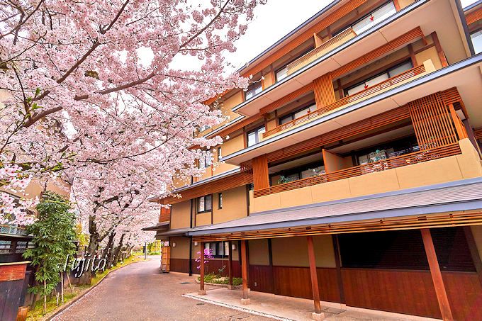 嵐山公園の桜を一望出来る客室も！