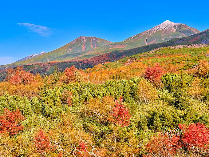 白ひげの滝の紅葉も見よう！望岳台も近い