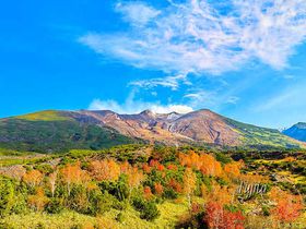 十勝岳望岳台で紅葉狩り！北海道・大雪山系の山々と紅葉がコラボ