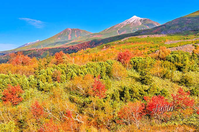 十勝岳望岳台で紅葉狩り 北海道 大雪山系の山々と紅葉がコラボ 北海道 Lineトラベルjp 旅行ガイド