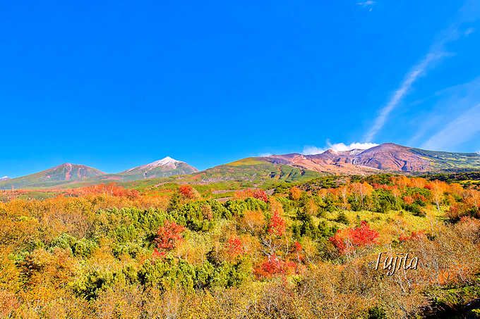 十勝岳望岳台で紅葉狩り 北海道 大雪山系の山々と紅葉がコラボ 北海道 Lineトラベルjp 旅行ガイド