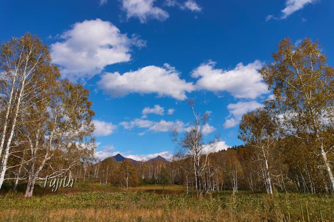 uIbpCRv̓ACk̐nI\O҂̔тgt