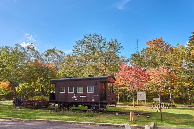 ʂт猹򋽁ufv̍gtKI