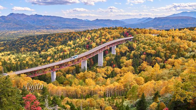 uOv勴ōgtIkC炵YȐi