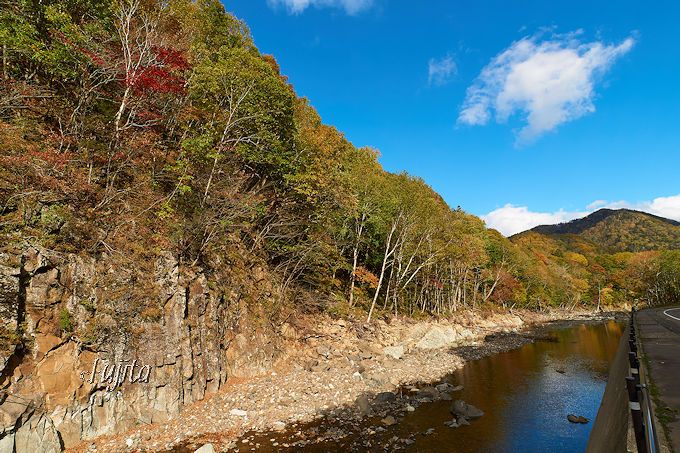 ʂт猹򋽁ufv̍gtKI