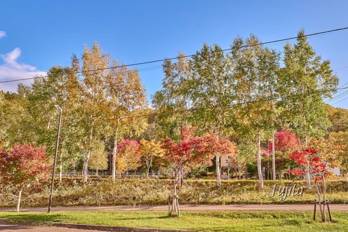 ʂт猹򋽁ufv̍gtKI