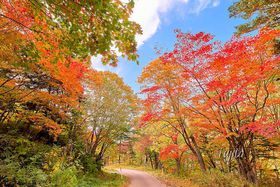 kCEw_ōgtIXӂߍgtX|bgTI̋LTlC