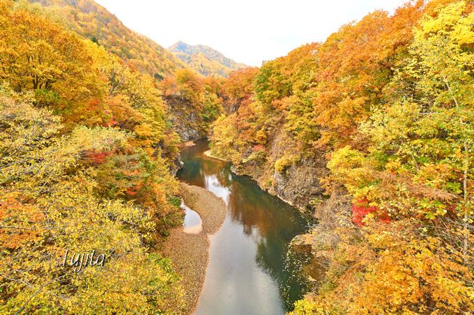 錦橋と豊平峡ダムの紅葉も必見！