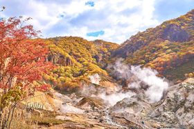 �o�ʉ���̍g�t�T�I�I�n���J�Ƃ������ߊό������ōg�t���̋L���T���l�C��