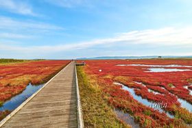 \΃TSQ̍gtiIԑE\斦CMPn̋LTlC