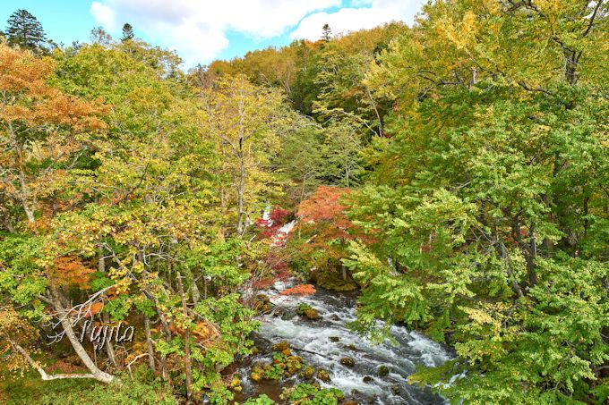 阿寒湖温泉で紅葉狩り 北海道 オンネトーと滝見橋の紅葉は必見 北海道 Lineトラベルjp 旅行ガイド