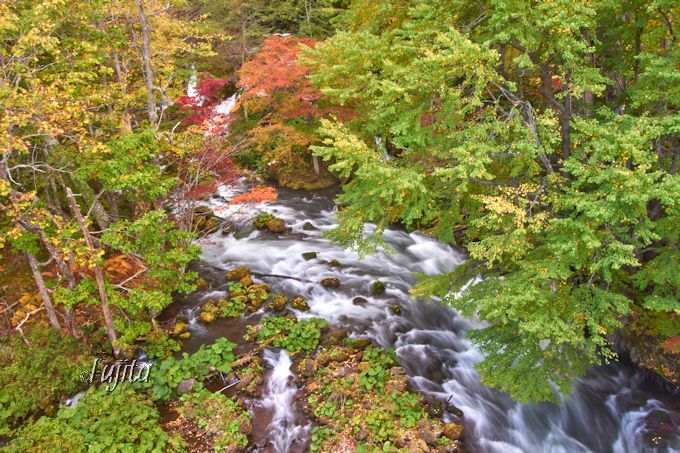 阿寒湖温泉で紅葉狩り 北海道 オンネトーと滝見橋の紅葉は必見 北海道 トラベルjp 旅行ガイド