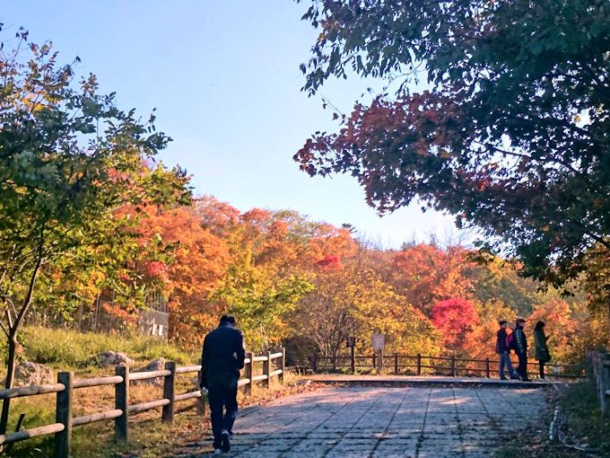 阿寒湖温泉で紅葉狩り 北海道 オンネトーと滝見橋の紅葉は必見 北海道 トラベルjp 旅行ガイド