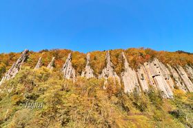 �k�C���E�V�l������ōg�t���I�����̑�������k�J�̍g�t����]�̋L���T���l�C��