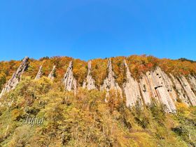 北海道・天人峡温泉で紅葉狩り！無料の足湯から渓谷の紅葉を一望