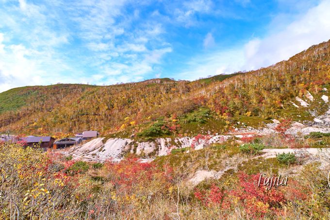 ニセコの紅葉10月が見頃 日帰り温泉と絶景の紅葉狩り 北海道 Lineトラベルjp 旅行ガイド