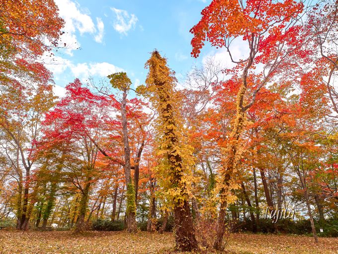 支笏湖温泉の紅葉５選！北海道・湖畔のおすすめ紅葉狩りスポット 